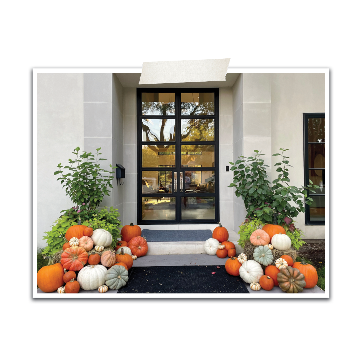 Pumpkin_3a.png