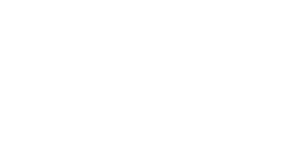 The SaleYards Crane Hire logo