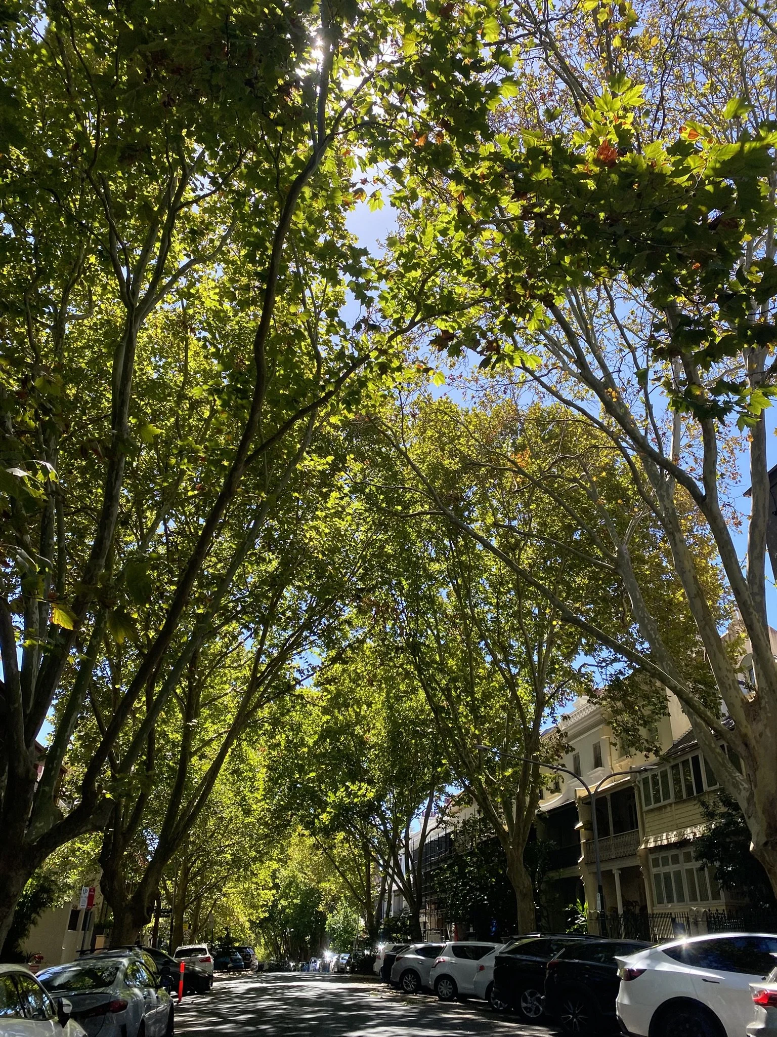 I love going for a long walk through Sydney. 