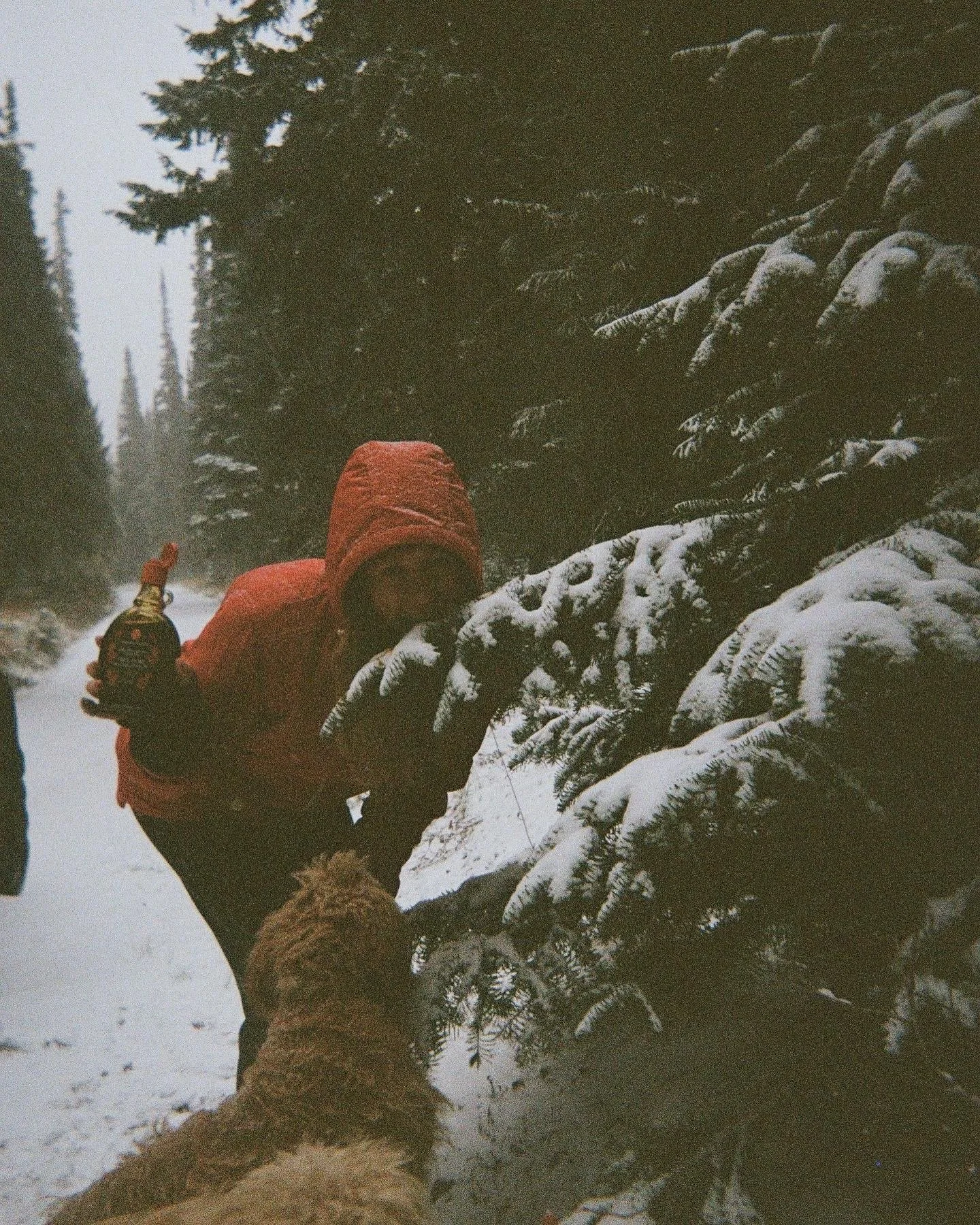 In 2022, I went to visit a friend who lived on a remote farm in Canada. This was my first time properly playing with a disposable camera. I love seeing the impact different tools have on how an image comes out. When I vision board with my clients, I 