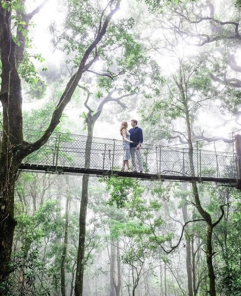 I love taking photos for loved ones and people close to me. I felt honoured to be asked to photograph Belle and Isaac for their engagement where we went to a local hinterland and took some playful natural photos that reflected their love for the grea