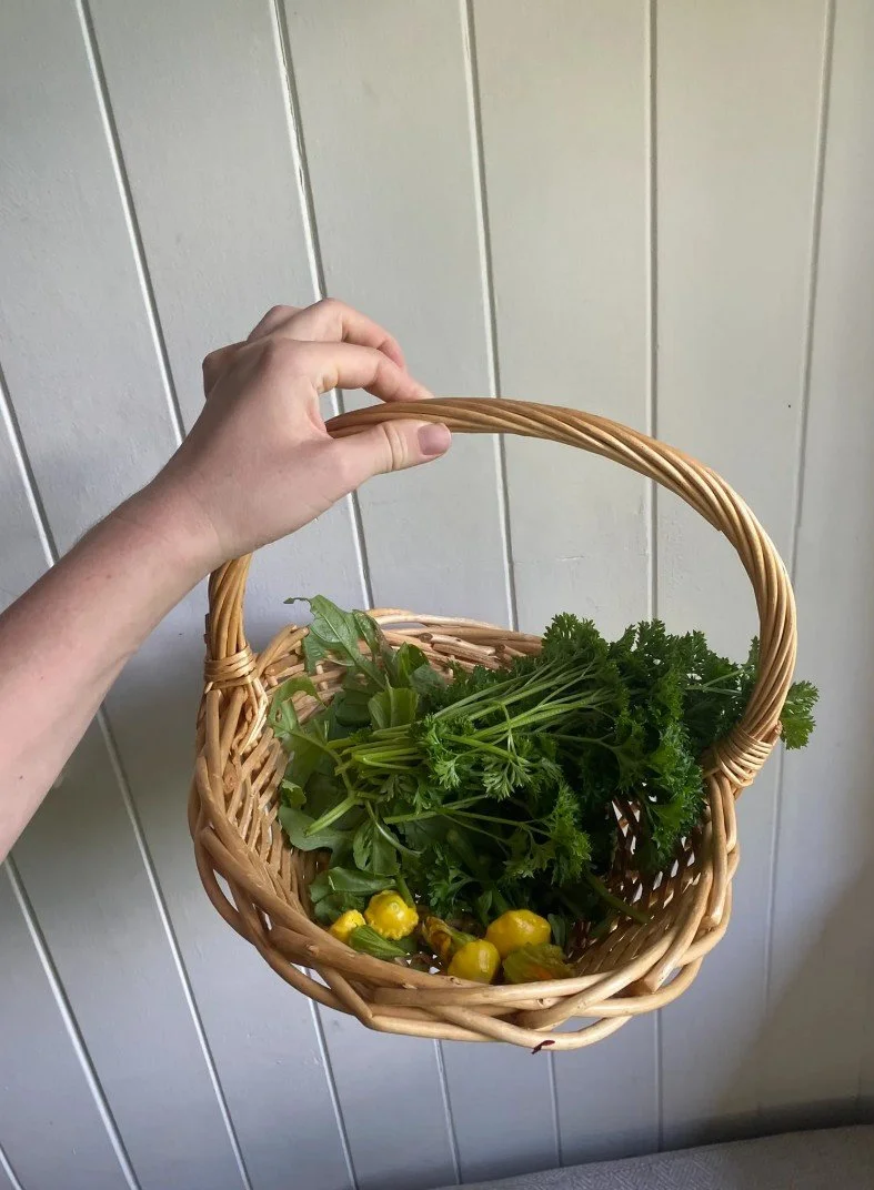 More veggie picking!