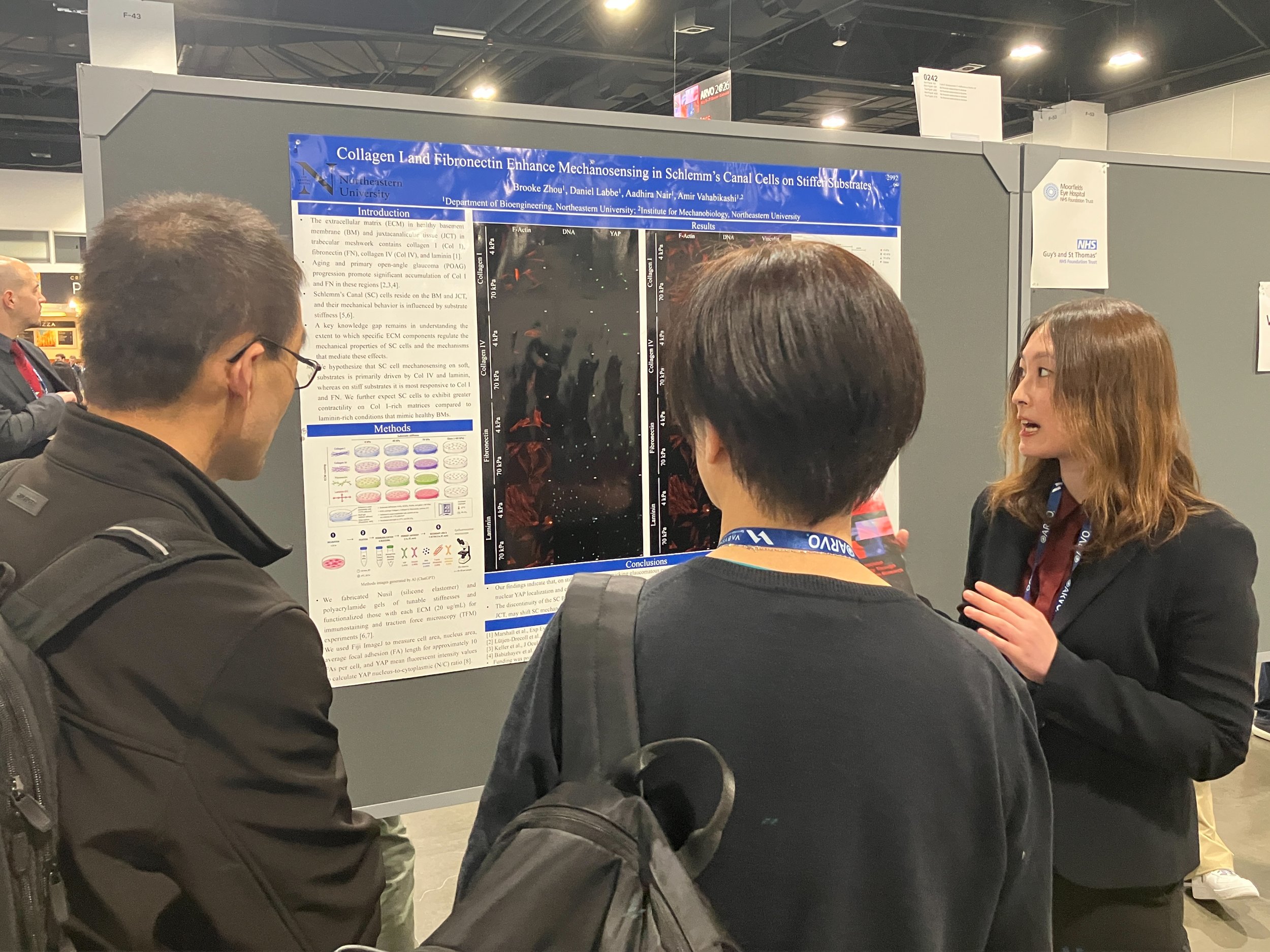 Scientists and attendees at a scientific conference discussing a research poster on collagen land fibronectin in Schlemm's canal cells, with detailed charts, figures, and text on the poster.