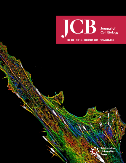 Cover of the Journal of Cell Biology featuring a colorful, detailed microscopic image of a cellular structure, with the journal title, volume, issue, date, website, and Rockefeller University Press logo.