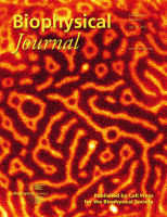Cover of Biophysical Journal showing a red and orange maze-like pattern, with the title 'Biophysical Journal' and authors' names in yellow text.
