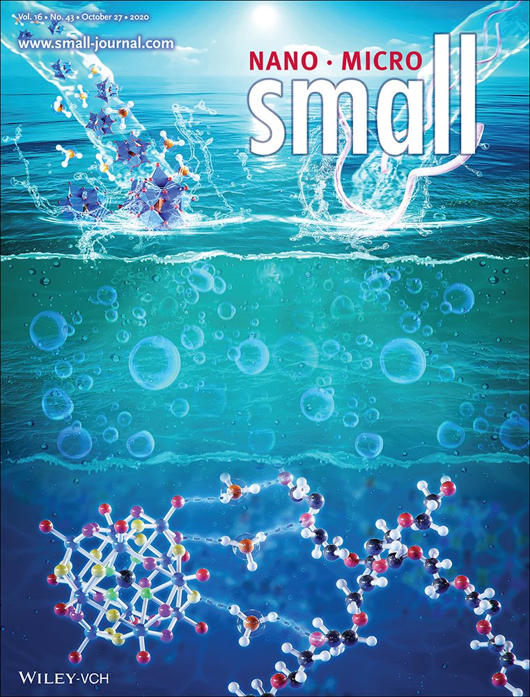 Cover of Small journal featuring a stylized illustration of molecules and DNA strands in water, with the title 'Nano Micro Small' and publication details.