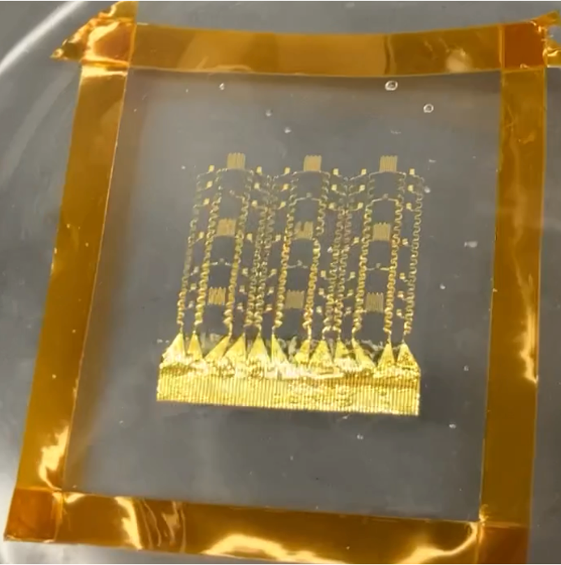 Ultrathin, compliant multimodal bioelectronic cardiac patch enabling high-fidelity quantification of cardiac tissue electrophysiology.