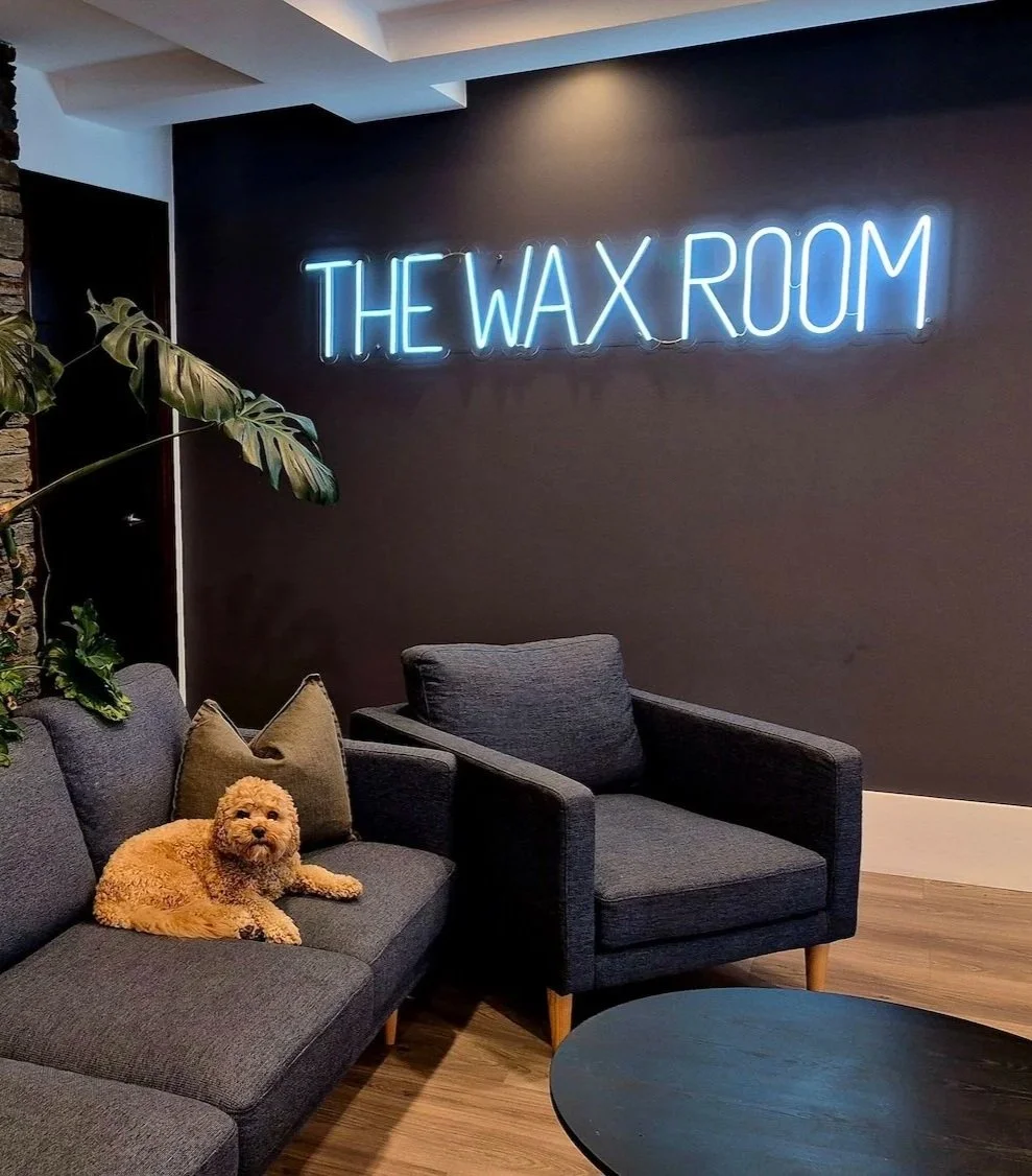 Nacho the dog, sitting in the waiting area of The Wax Room Queenstown.