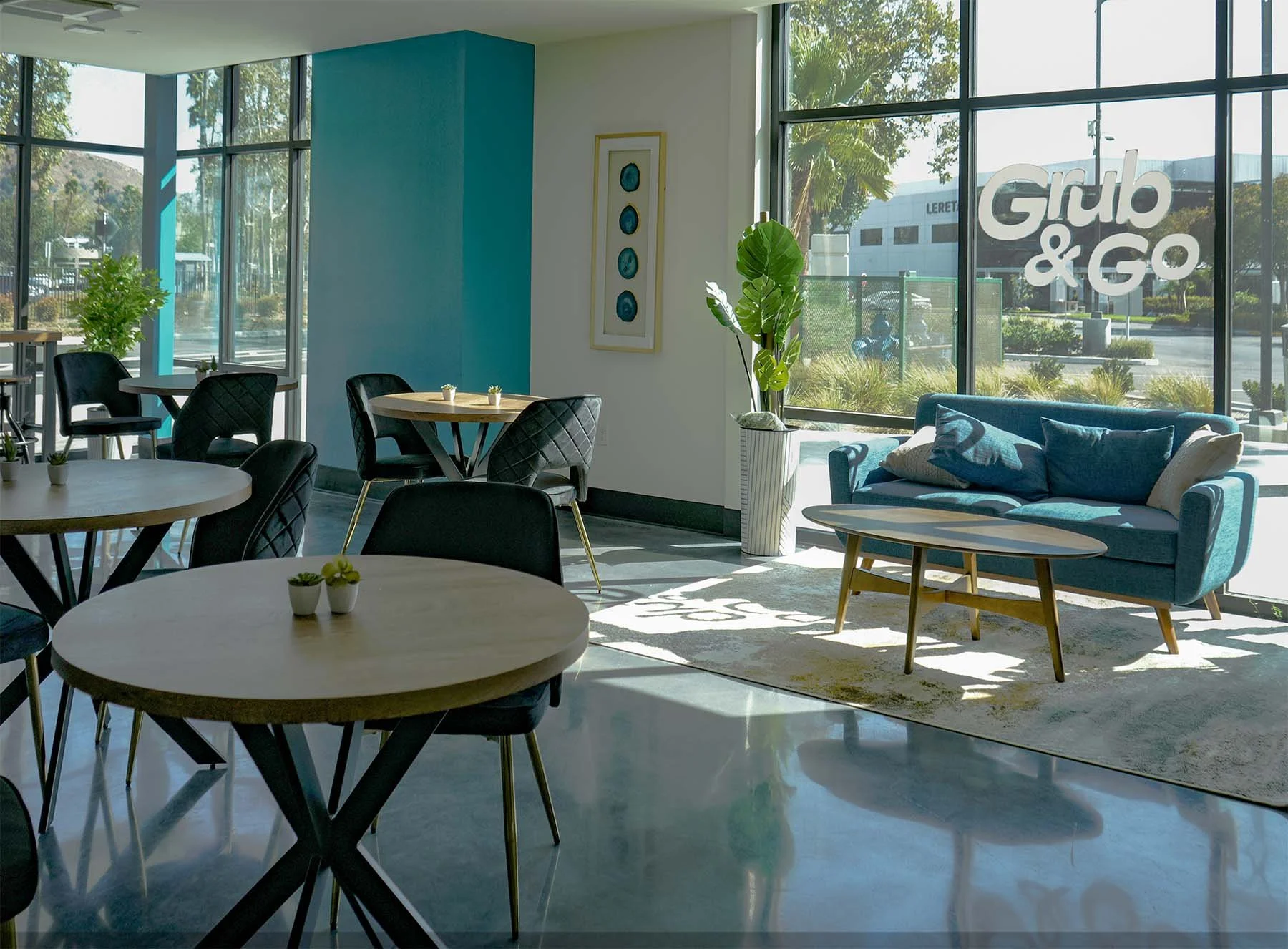 Bright modern lounge area with round tables, black chairs, a blue sofa with cushions, green plants, a white rug, and large windows showing an outdoor parking lot and trees.
