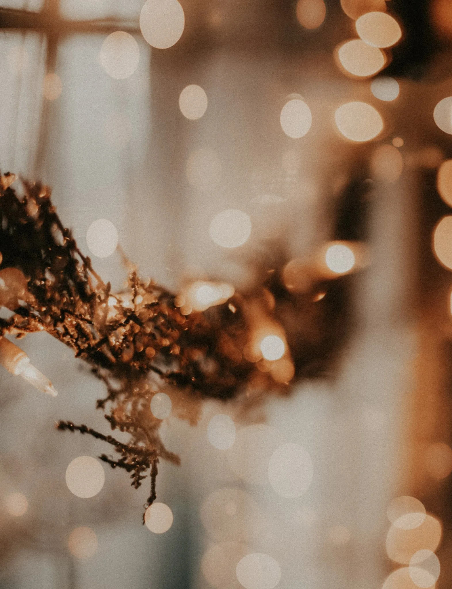 Christmas Mini Session Waitlist