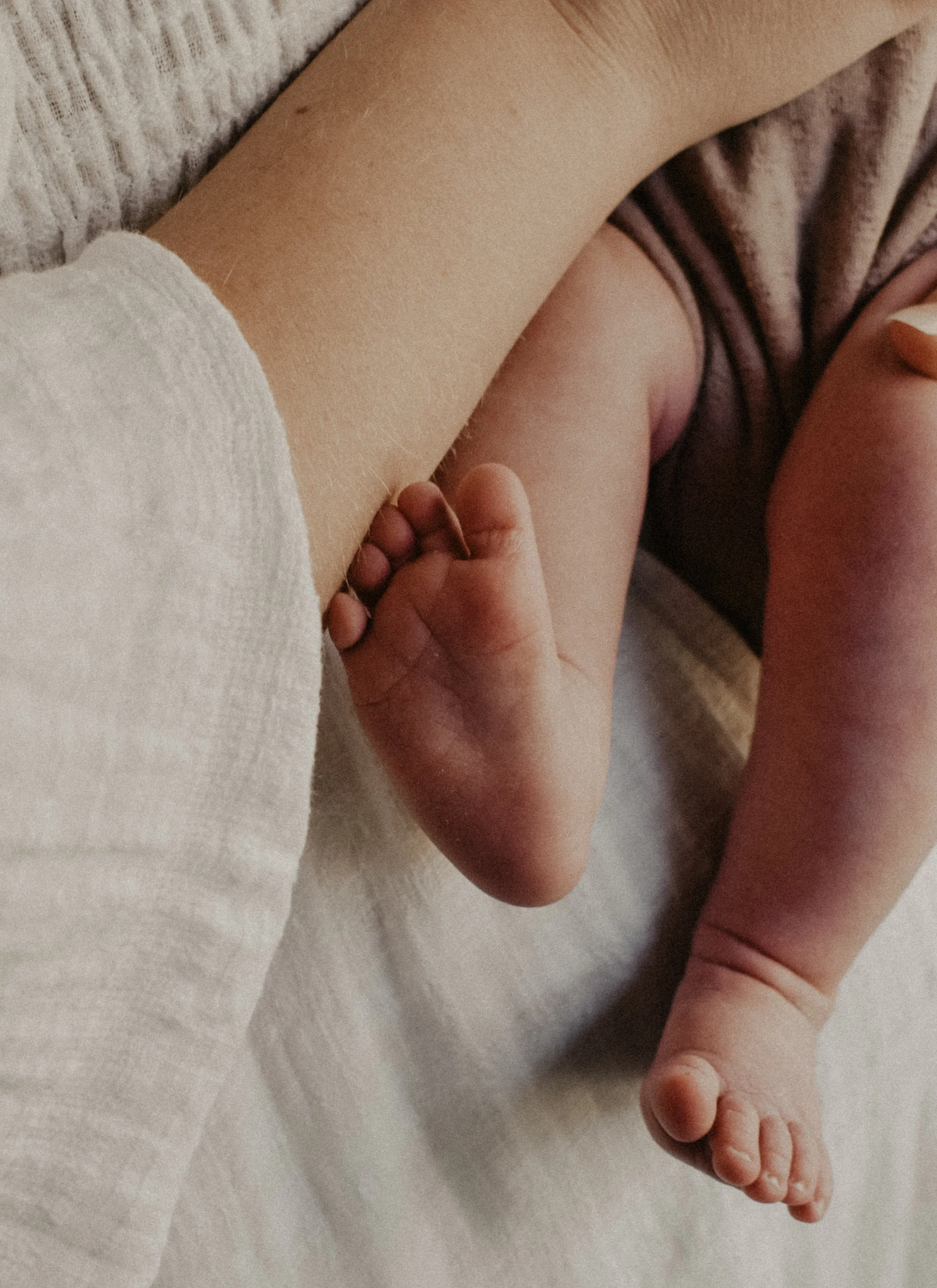 Newborn Photography Session