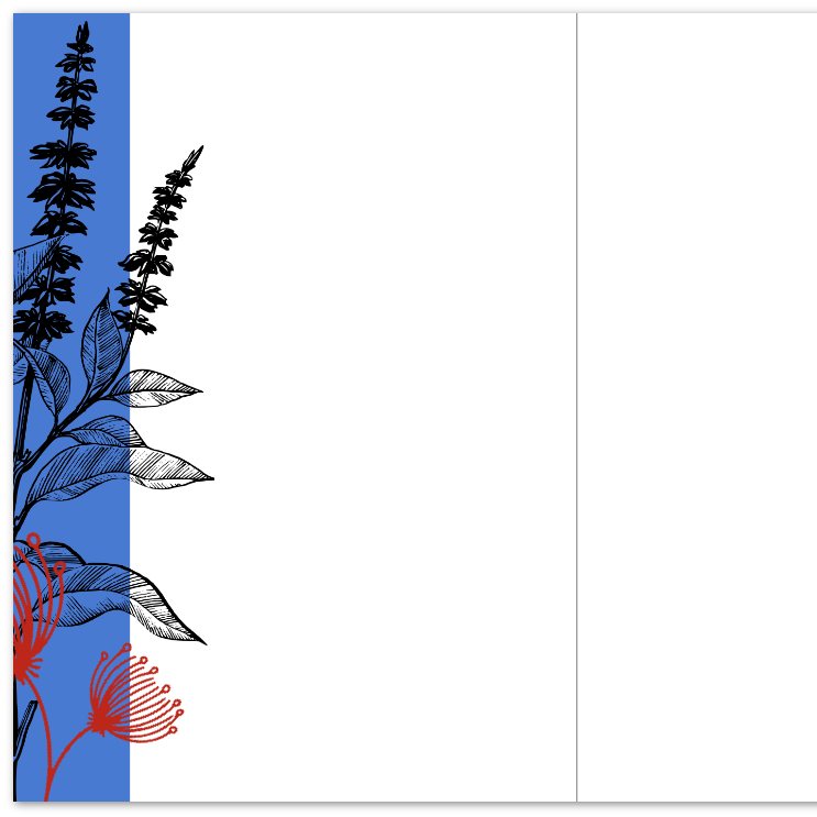 dc4fd572-5f90-4a3d-bb43-35a8731e3ec2.png