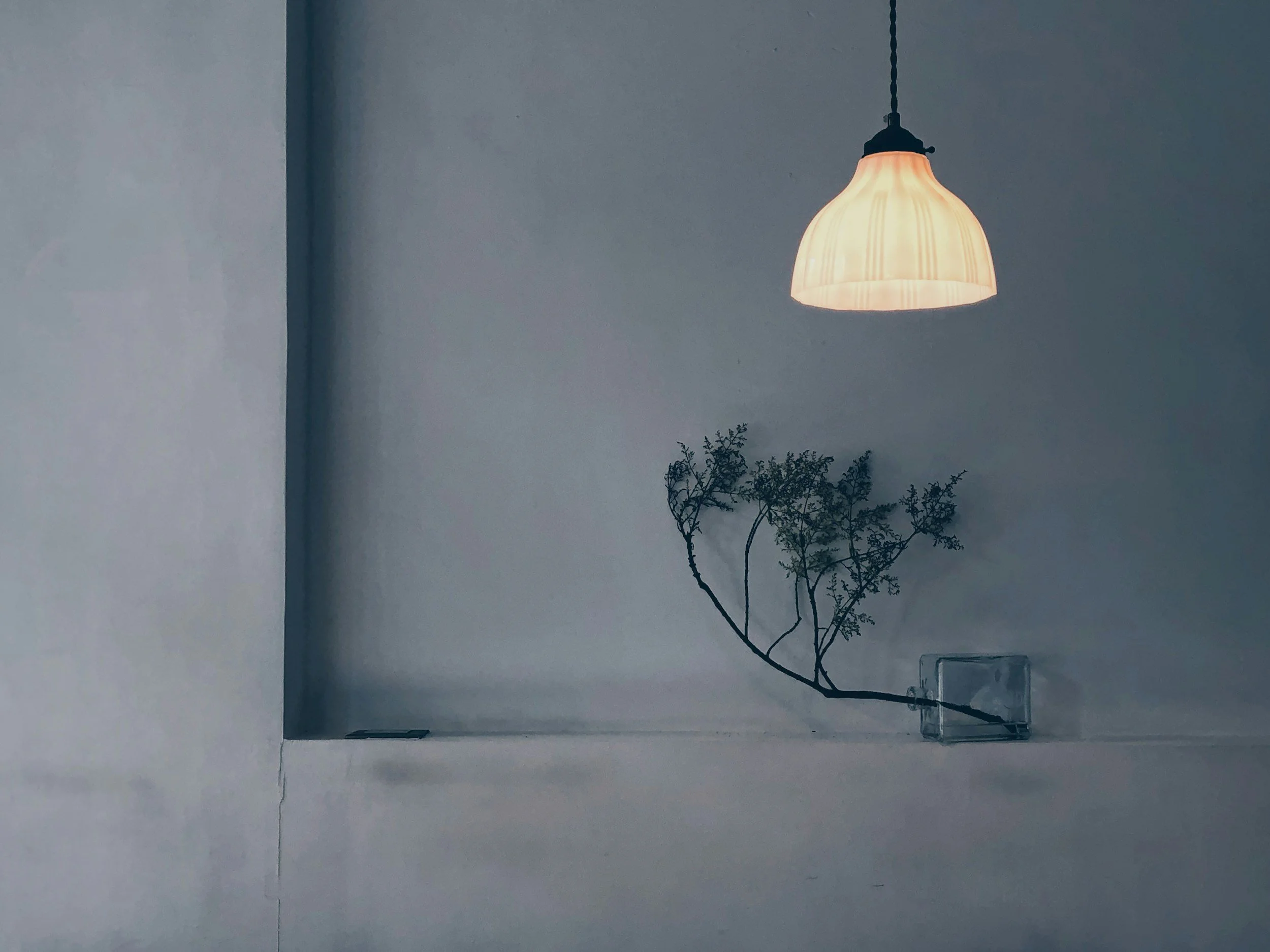A ceiling lamp with a beige, pleated lampshade hanging from the ceiling, illuminating a corner of a room with pale blue walls. Below the lamp, there is a small plant with thin, dark branches, and a transparent rectangular container.