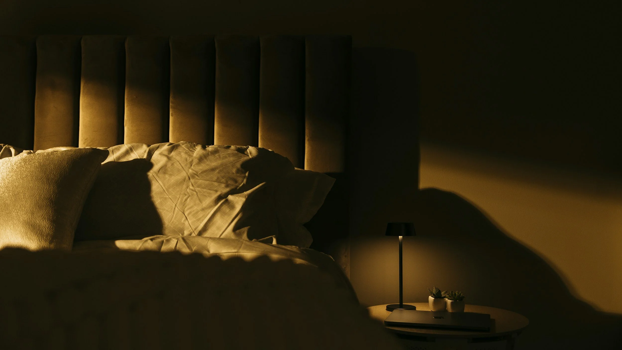 Dimly lit bedroom with a bed, pillows, a bedside table, a small lamp, and a potted plant, illuminated by warm, soft lighting.