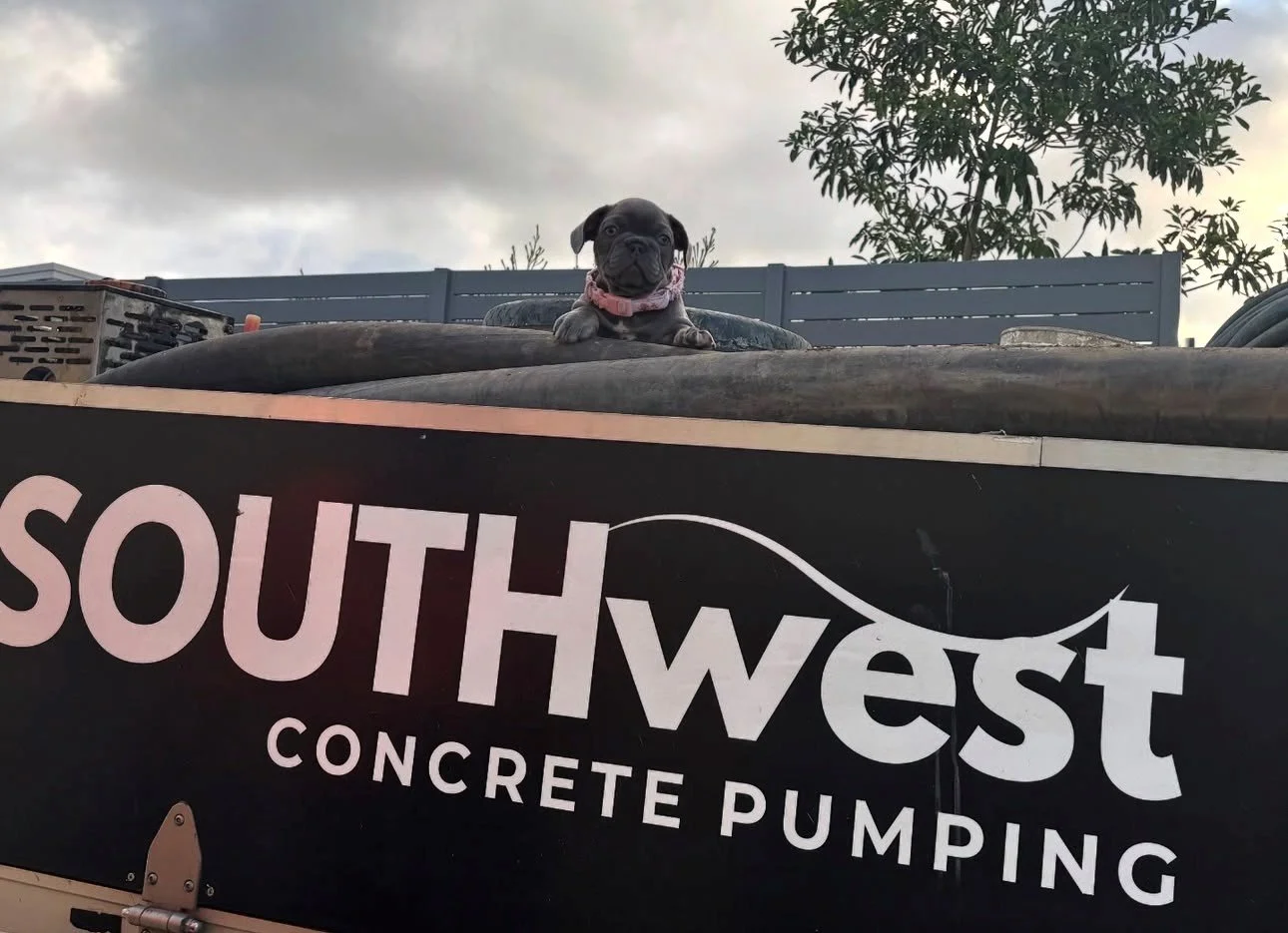 A small puppy with a pink collar lying on a black tube above a sign that reads 'Southwest Concrete Pumping' in an outdoor area with a cloudy sky and a tree in the background.