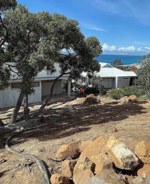 A skewed tree leaning over a dirt area with large rocks, overlooking houses and the ocean in the background.