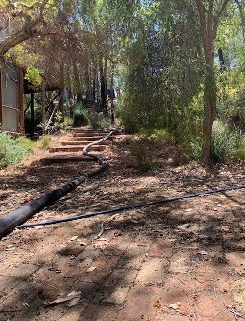 A garden path with wooden steps, surrounded by trees and shrubbery, with black hoses laid along the ground and up the steps.