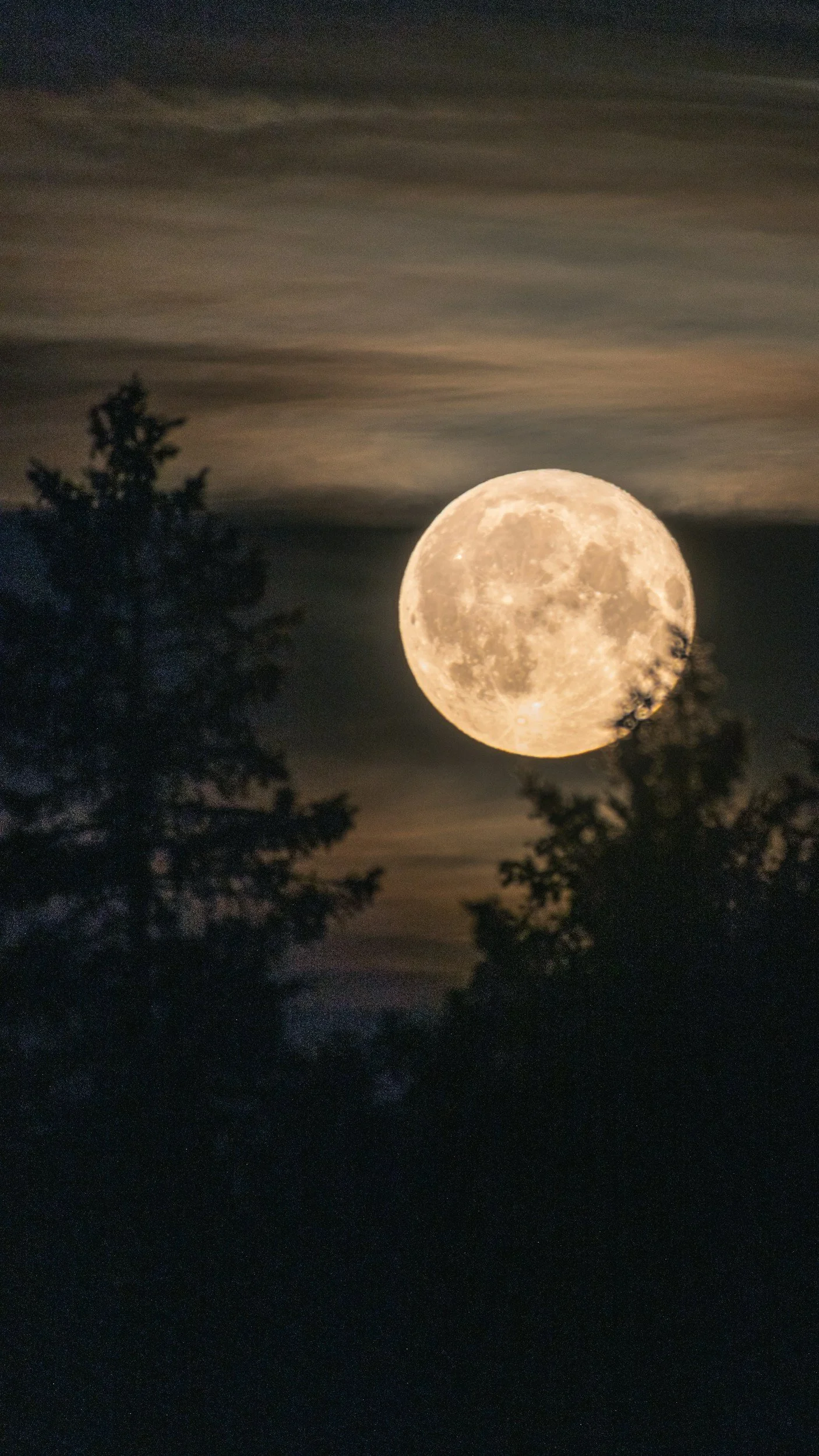 A large, bright full moon in a dark night sky with some clouds and silhouettes of trees in the foreground.