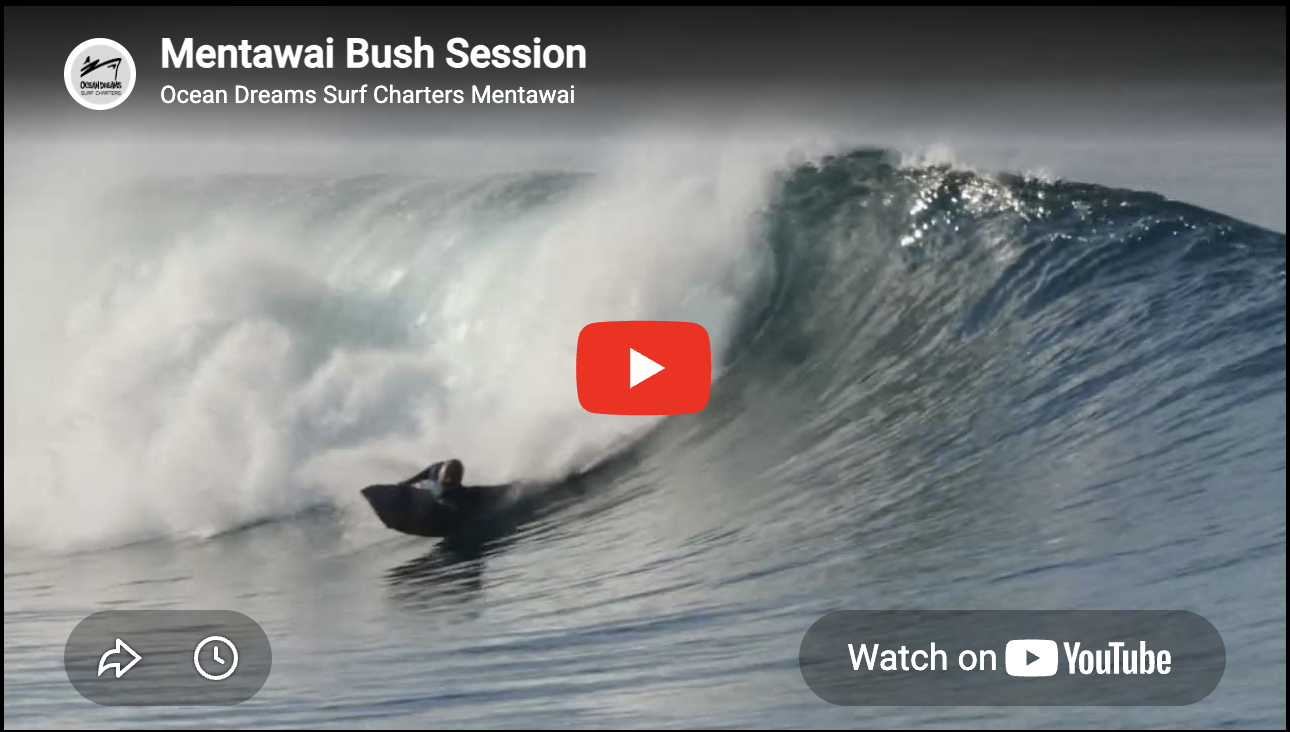 Mentawai Bush Session