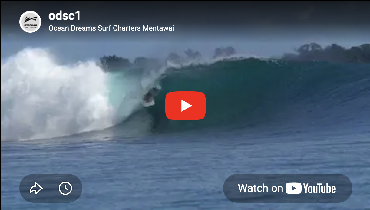 Ocean Dreams Surf Charters Mentawai