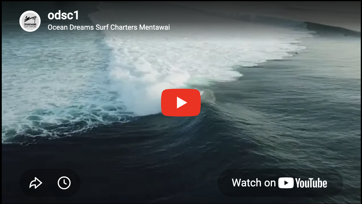 Ocean Dreams Surf Charters Mentawai