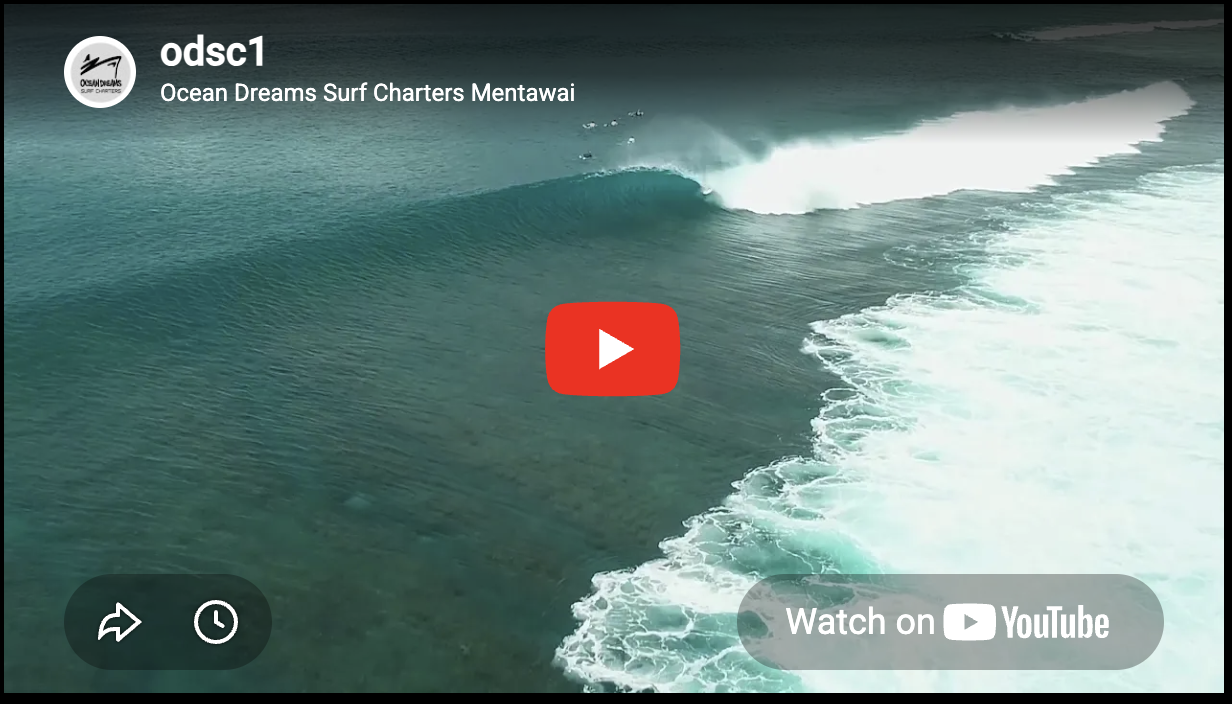 Ocean Dreams Surf Charters Mentawai