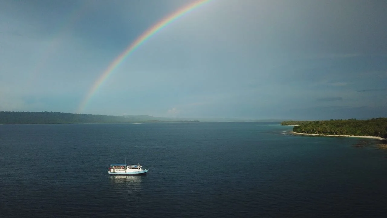 rainbows.jpg