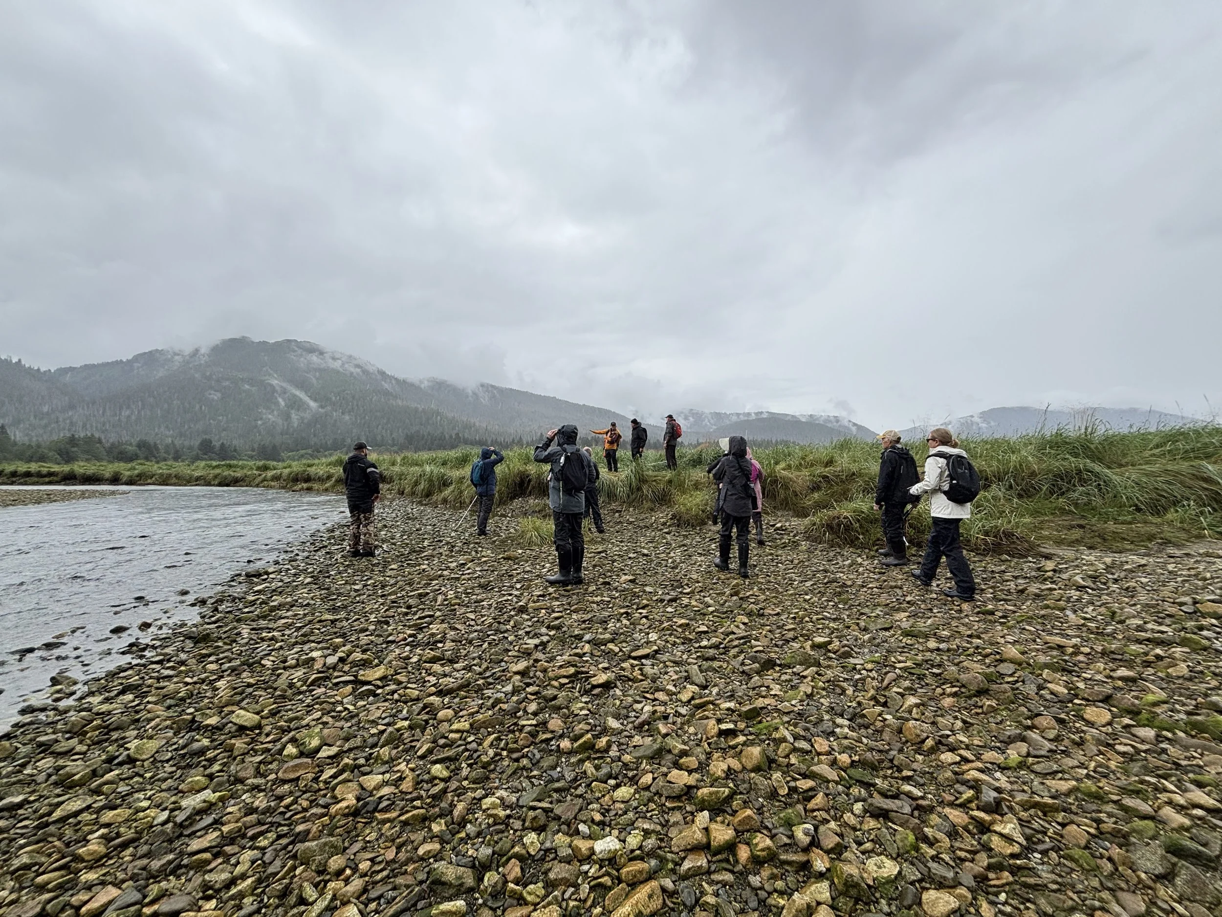 Naturalist Guiding
