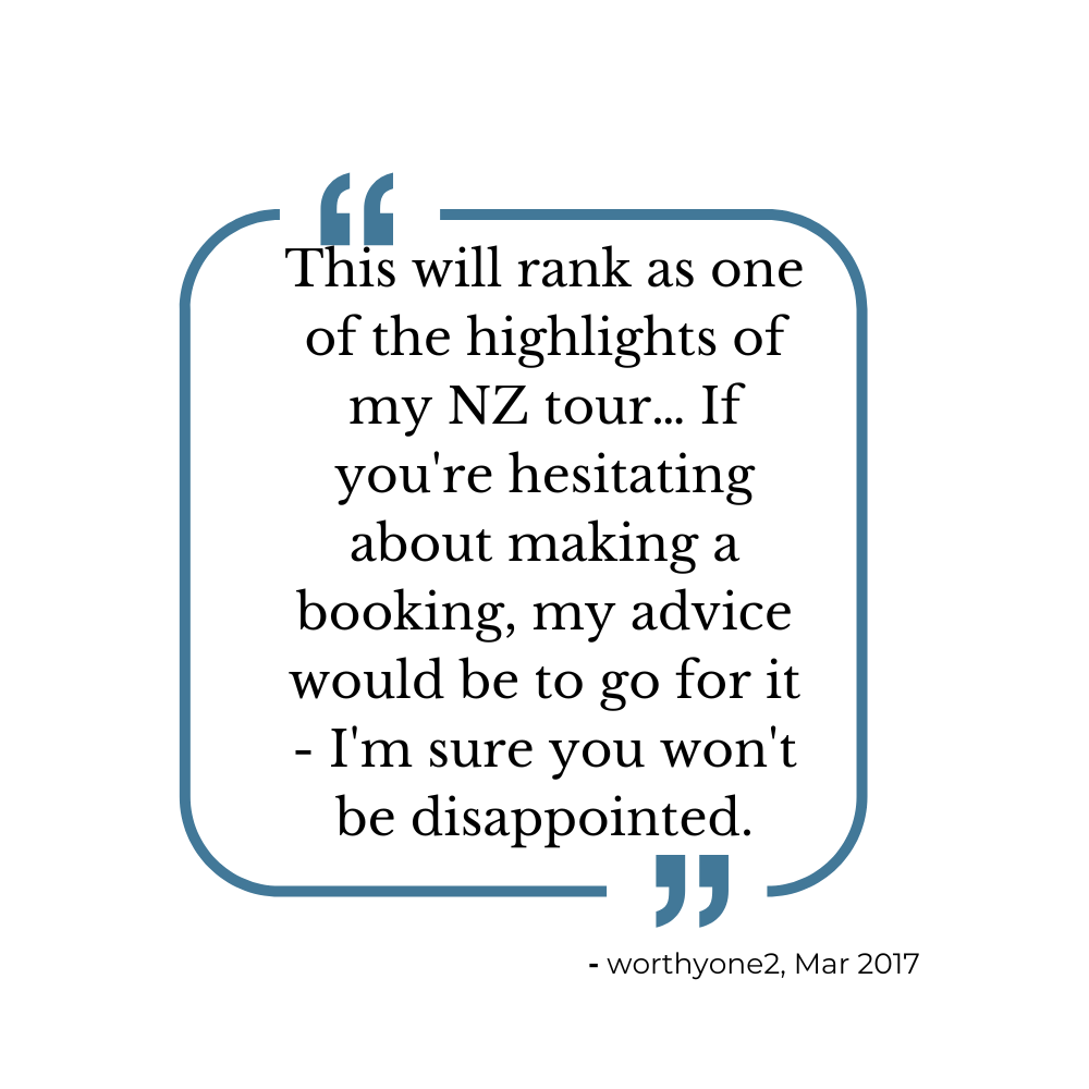 Quote about New Zealand tour highlights, encouraging people to make a booking, with attribution to worthyone2, March 2017.
