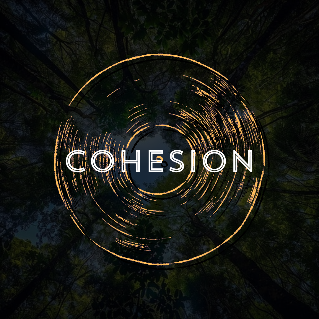 Cohesion - Band Audio Samples - Tracks edited and mixed by myself
                         
