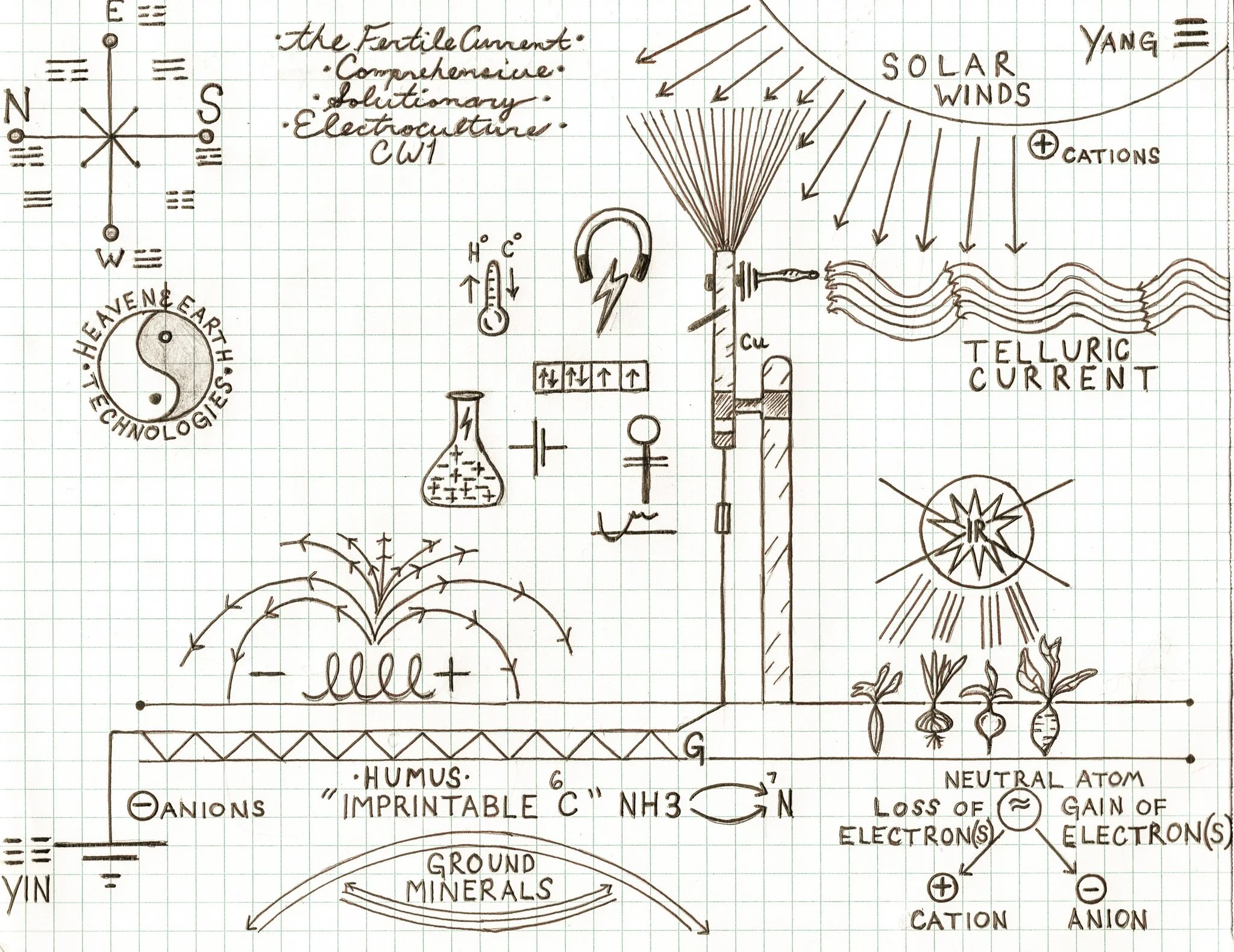 CW1diagram!!.jpg