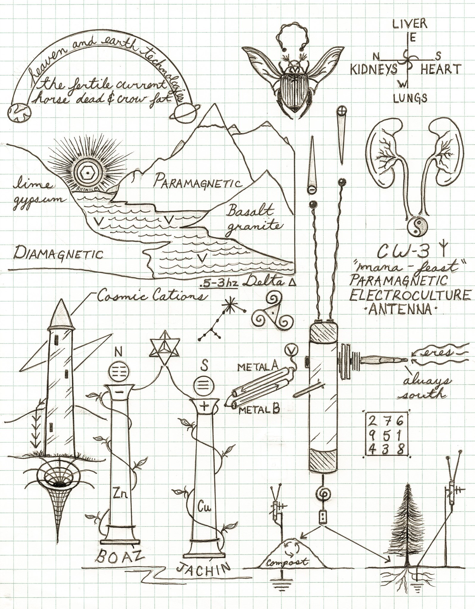 diagram CW3-2.jpg