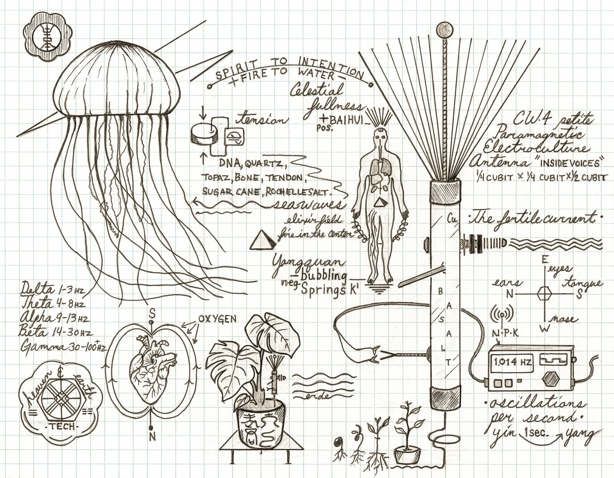 CW4 diagram-2.jpg