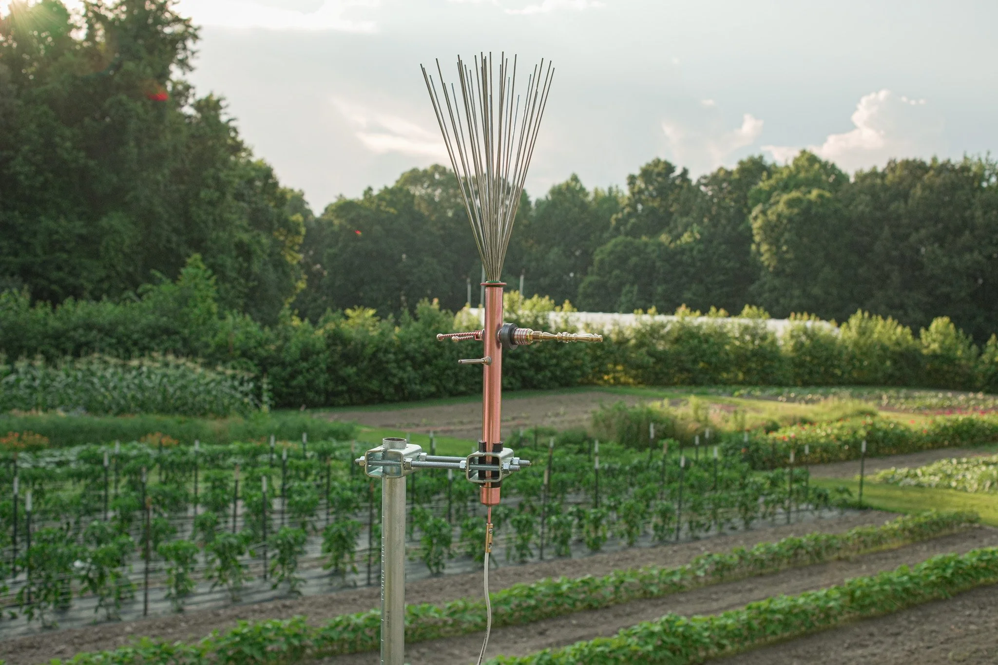 the fertile current electroculture antenna organic farm hyper dynamic agriculture organic marget garden farm and  blue sky.jpg