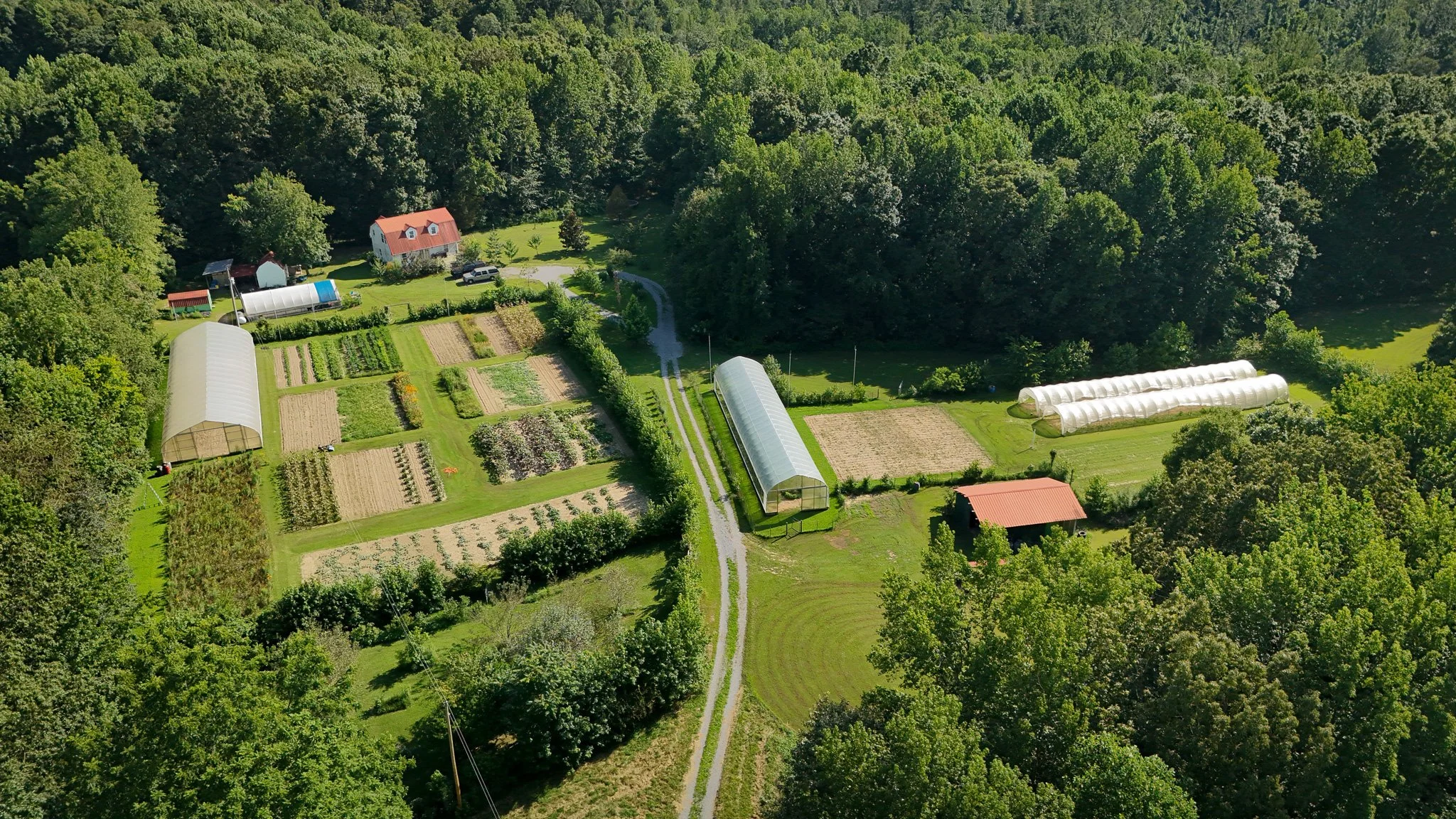 Aerial view of a large green farm with multiple greenhouses, garden plots, and a house surrounded by dense trees.