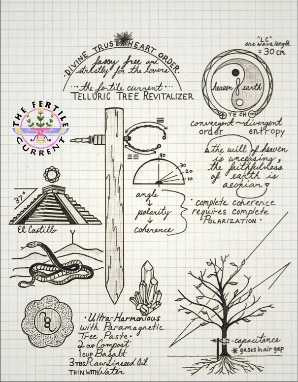 diagram REVITALIZER-2.jpg