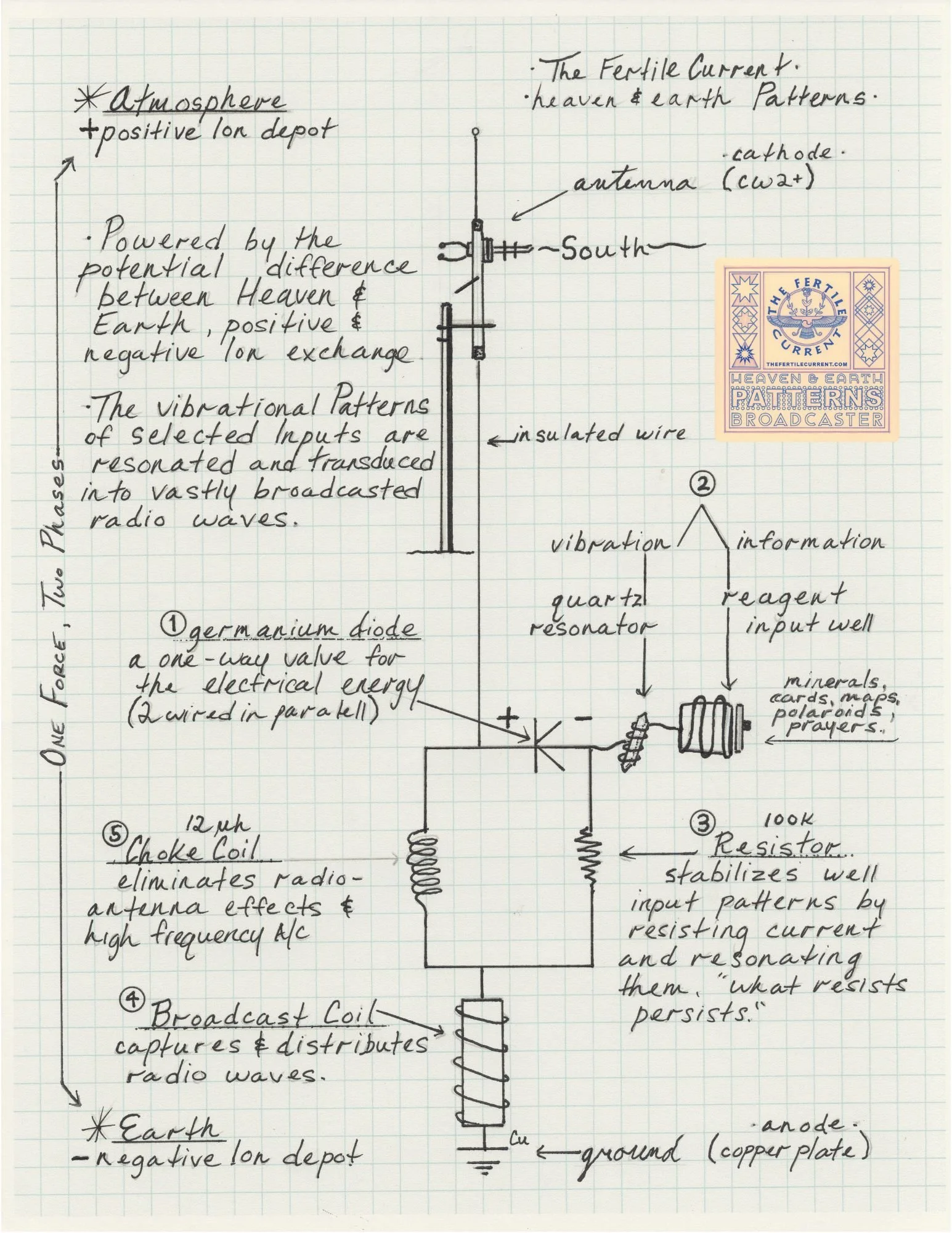 B.caster diagram CANVA.jpg