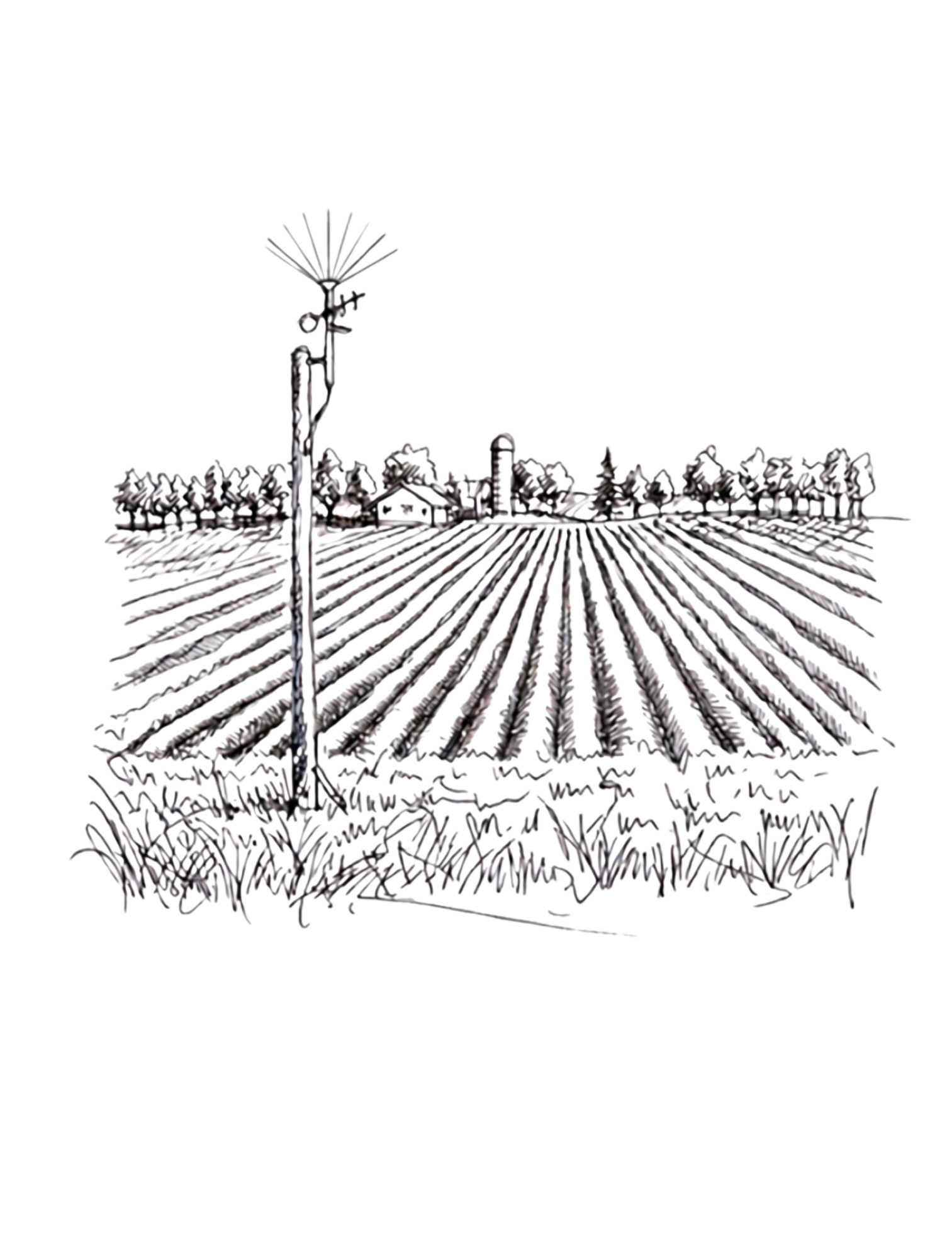 Line drawing of a farm with rows of crops, a farmhouse, a barn, trees, and a windmill in the background.
