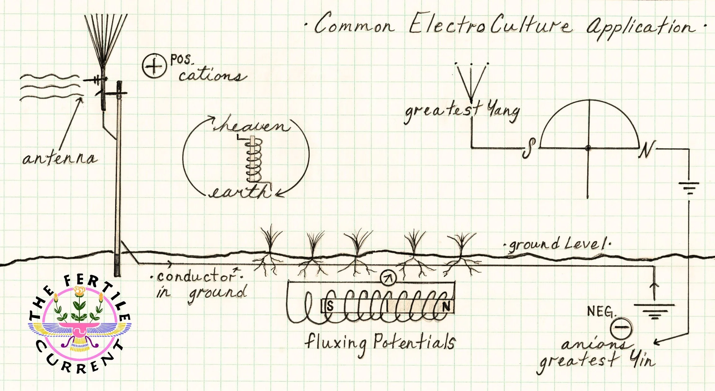 A detailed hand-drawn diagram of an electrical circuit related to electroculture, including components such as an antenna, labeled positive and negative poles, conductors in ground, and a fluxing potentials box. The diagram also features notes like 'Common ElectroCulture Application' and 'greatest Yain' with a wave symbol.