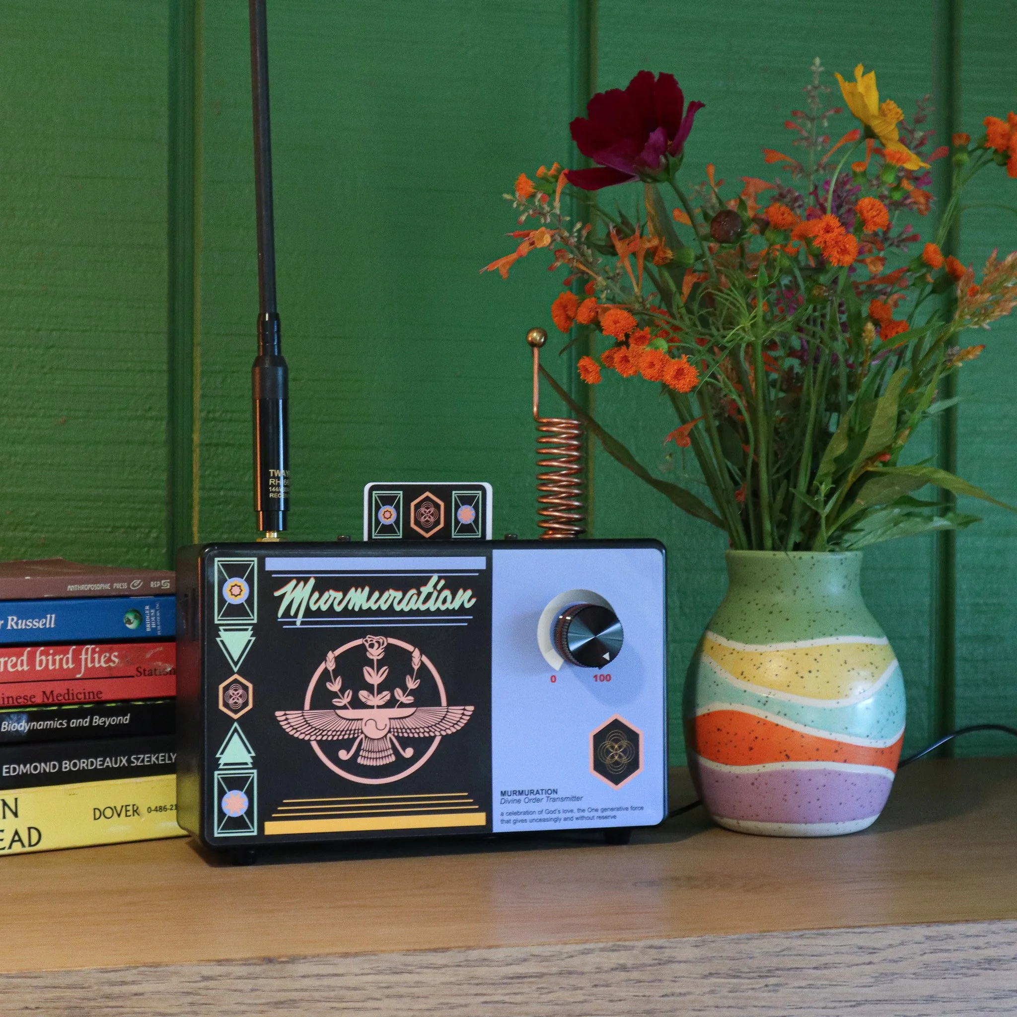 A computer monitor displaying a message about Murmuration, a divine order transmitter, with a graphic of a snake, flowers, and geometric shapes, next to a colorful striped ceramic mug, and a green potted plant with flowers on a wooden surface against a green wall background.