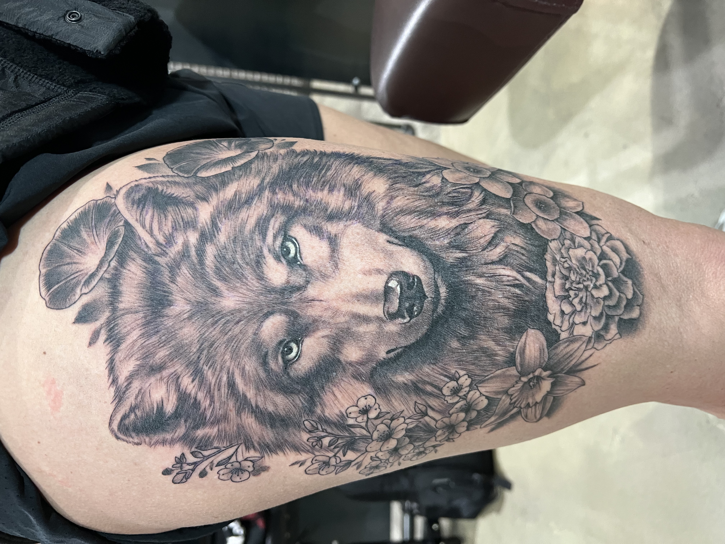 Close-up of a detailed, black and gray tattoo of a wolfs face and floral designs on a person's upper thigh.