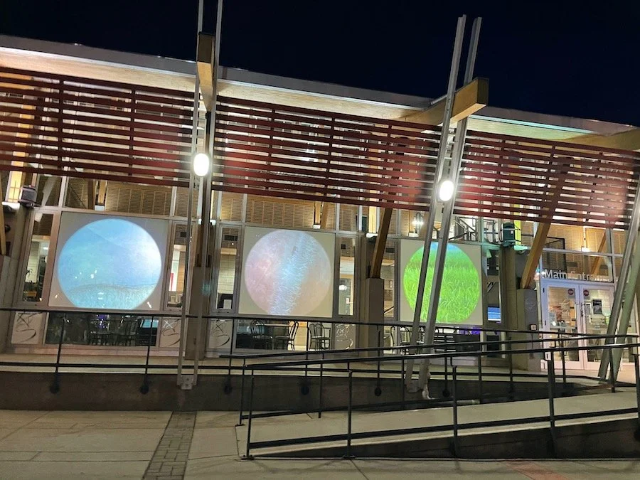 Nighttime exterior of a building with three glowing circular projections in blue, pink, and green on the windows, and architectural elements with wooden slats and metal supports.