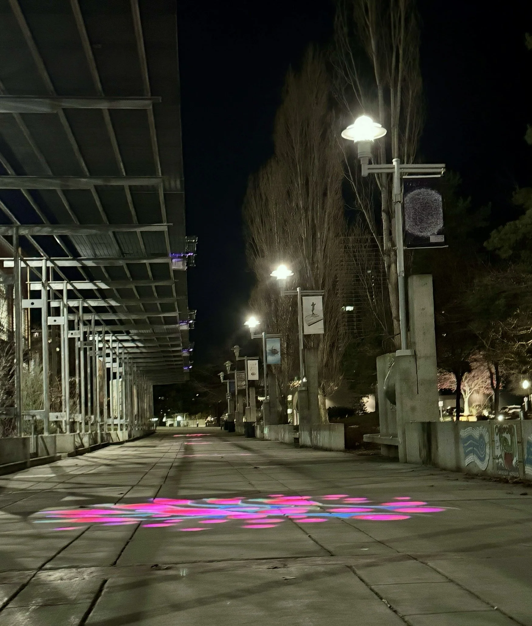 Empty outdoor walkway at night with street lamps, blank billboards, trees, and colorful pink and purple light reflections on the pavement.