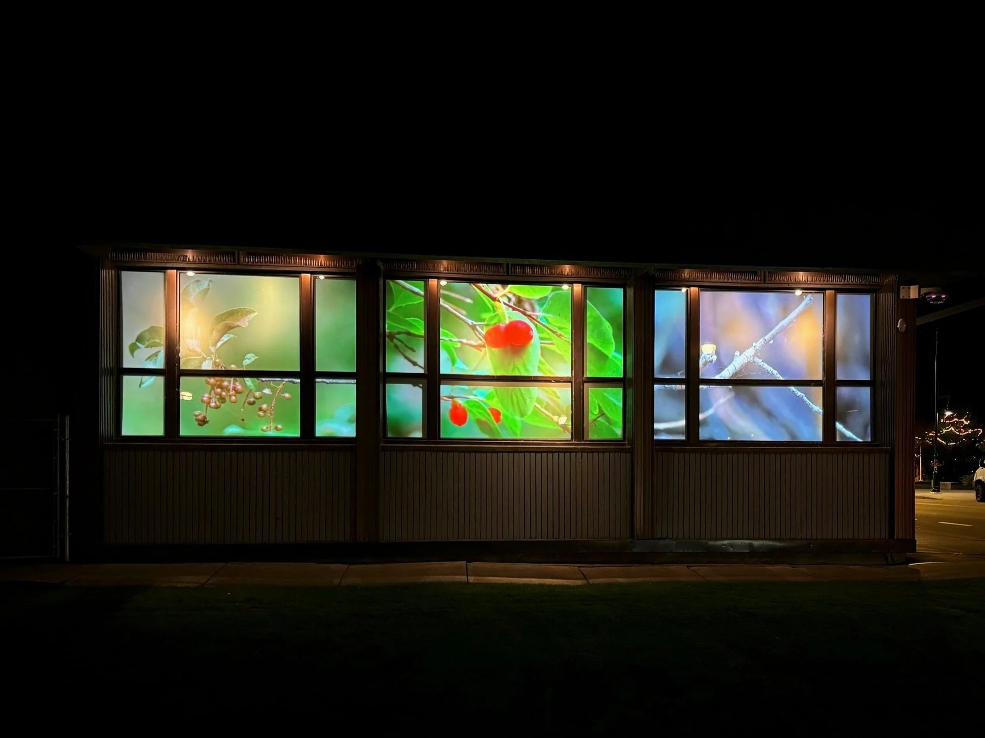Colorful illuminated mural of berries and leaves displayed on a building at night.