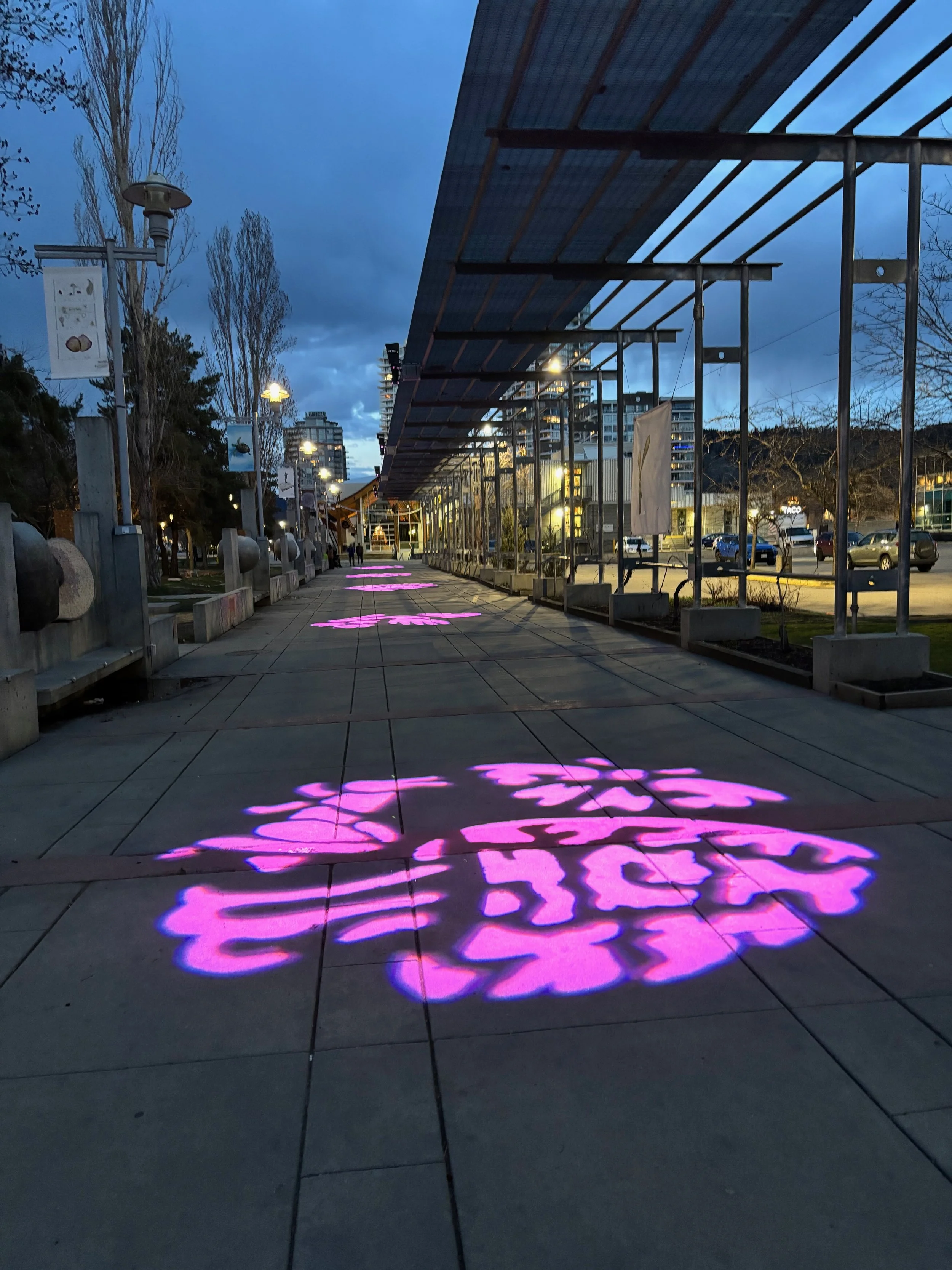 Sidewalk with pink and purple light projections of floral patterns at dusk, lined with street lamps and trees, in an urban area.