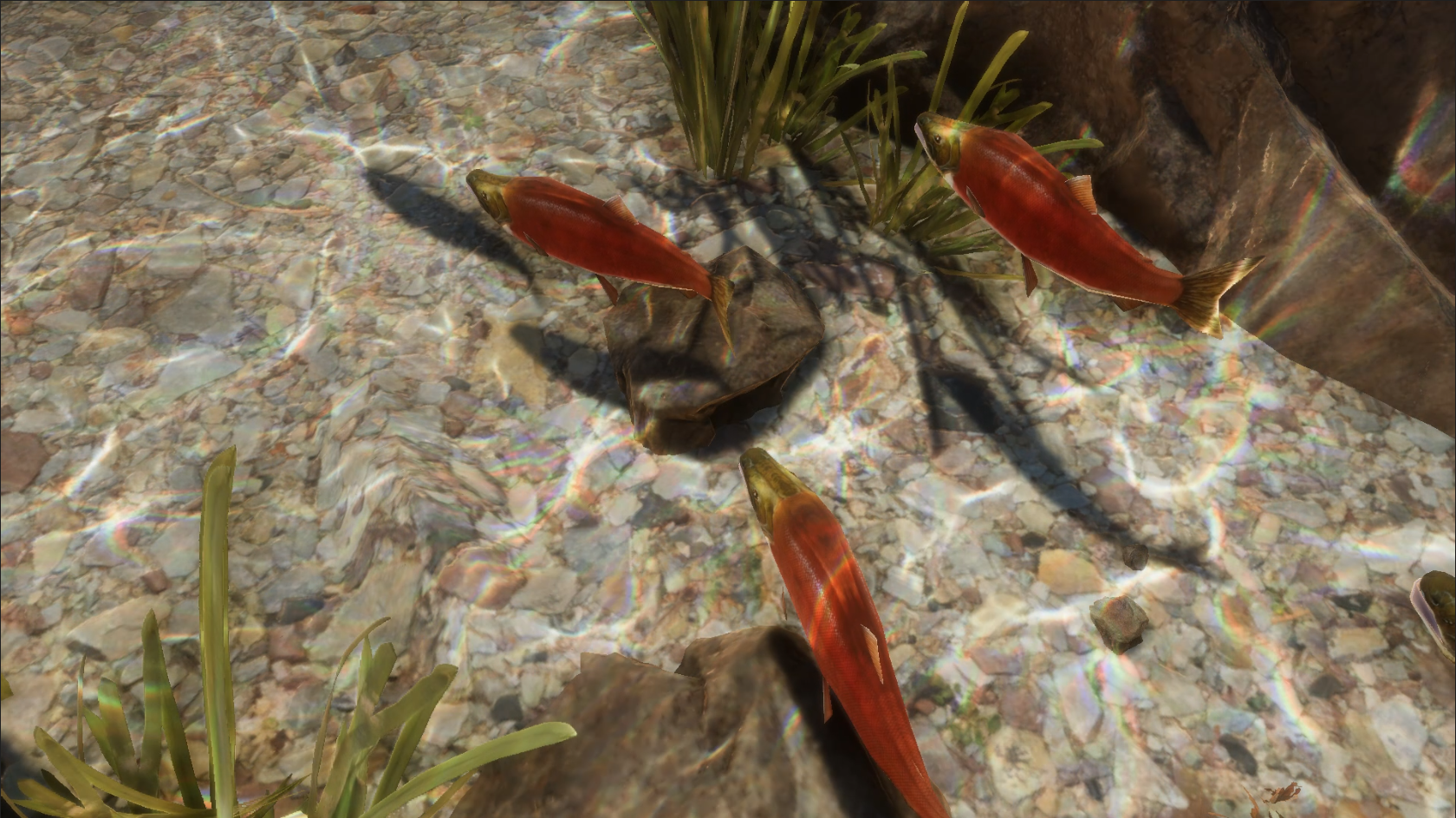 When the Salmon Return