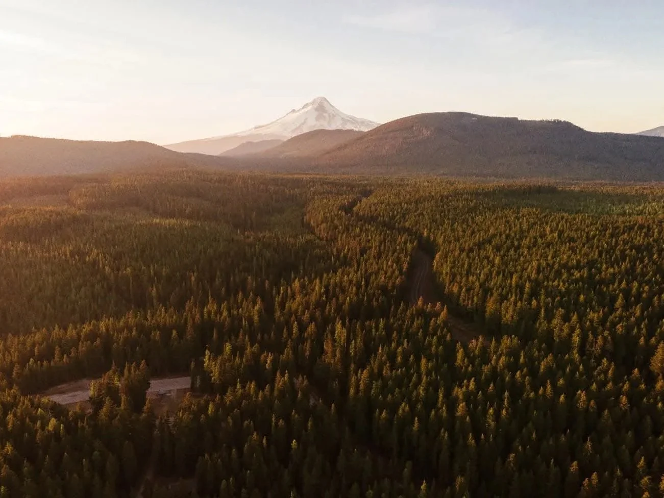 Aerial view of a vast forest with a mountain range and a snow-capped mountain in the background, during sunset.