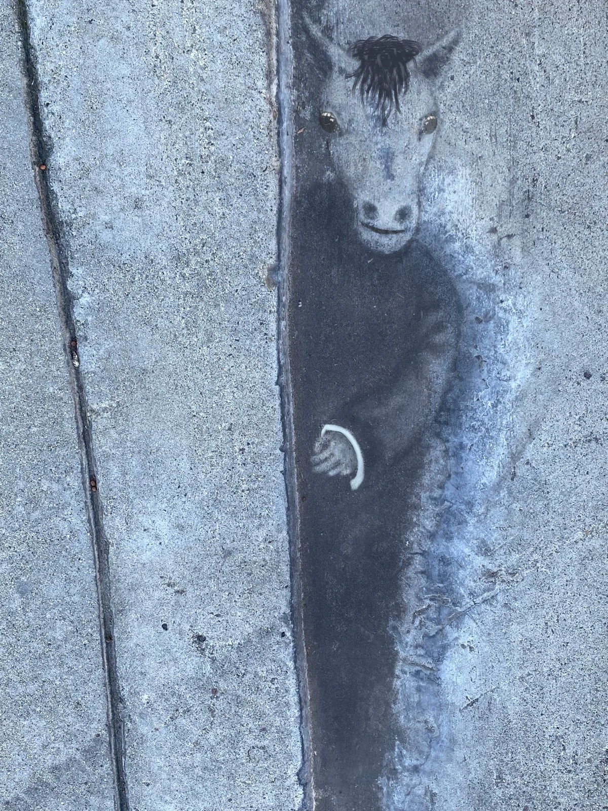 Street art of a dog painted on a concrete sidewalk, with the dog's face, eyes, nose, mouth, and a paw visible, using white and black spray paint.