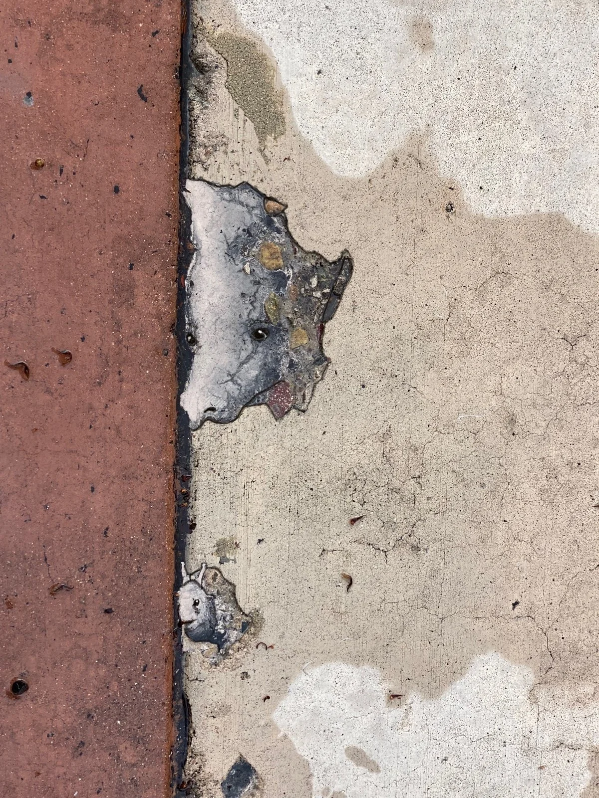 Close-up of a concrete sidewalk with a partially broken edge, exposing damaged and chipped material, next to a red brick sidewalk.
