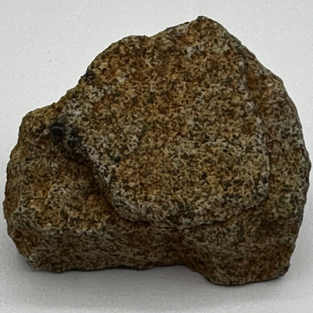 Close-up of a textured brown rock on a white surface.